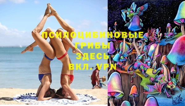 мдпв Абаза