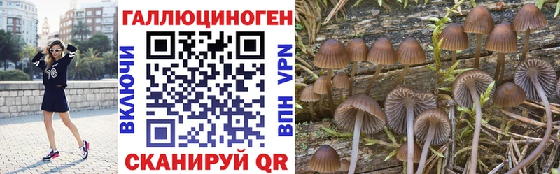 Псилоцибиновые грибы мицелий  Ессентукская 