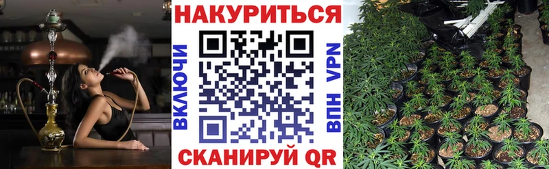 kraken ТОР  Ессентукская  Шишки марихуана SATIVA & INDICA 